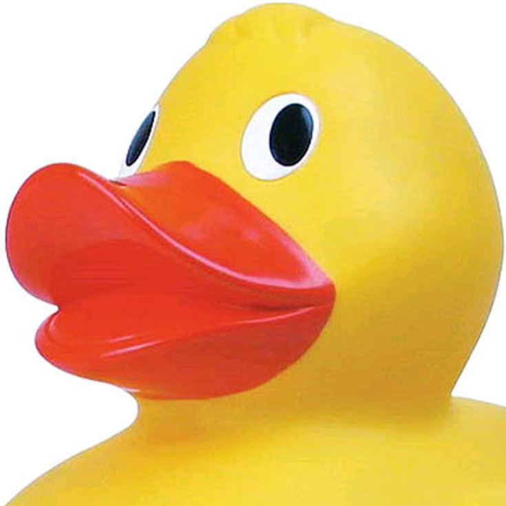 Giant Duck product image