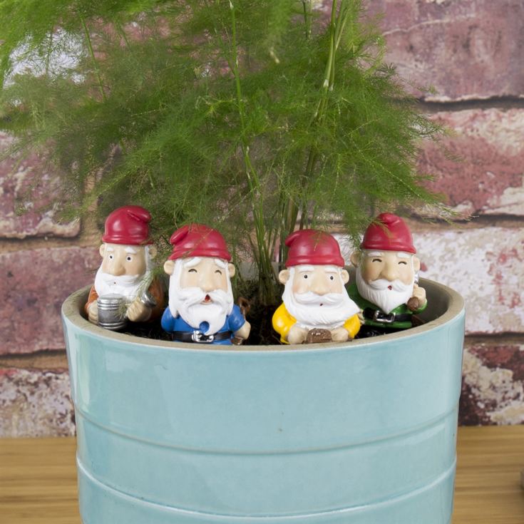Mini Plant Pot Gnomes product image