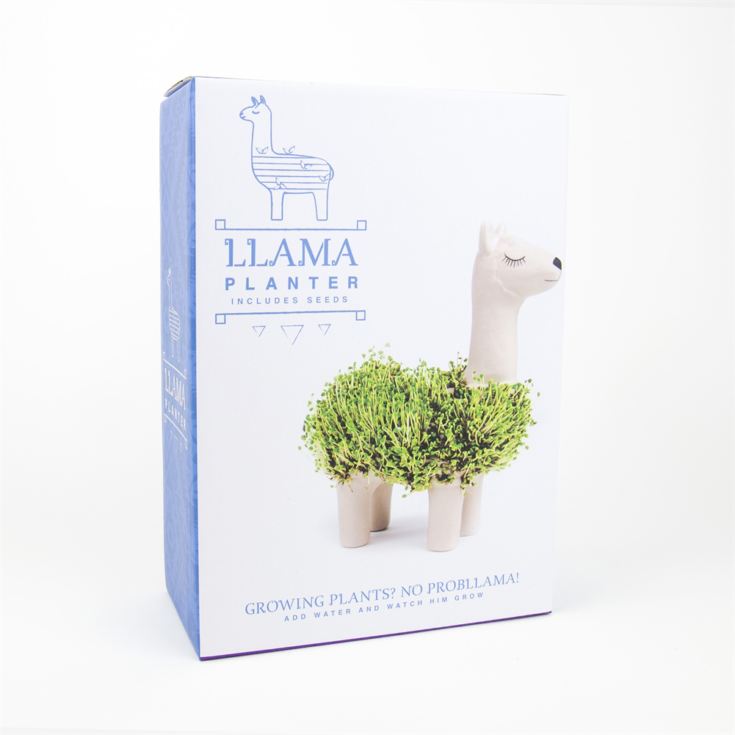 Llama Chia Planter product image