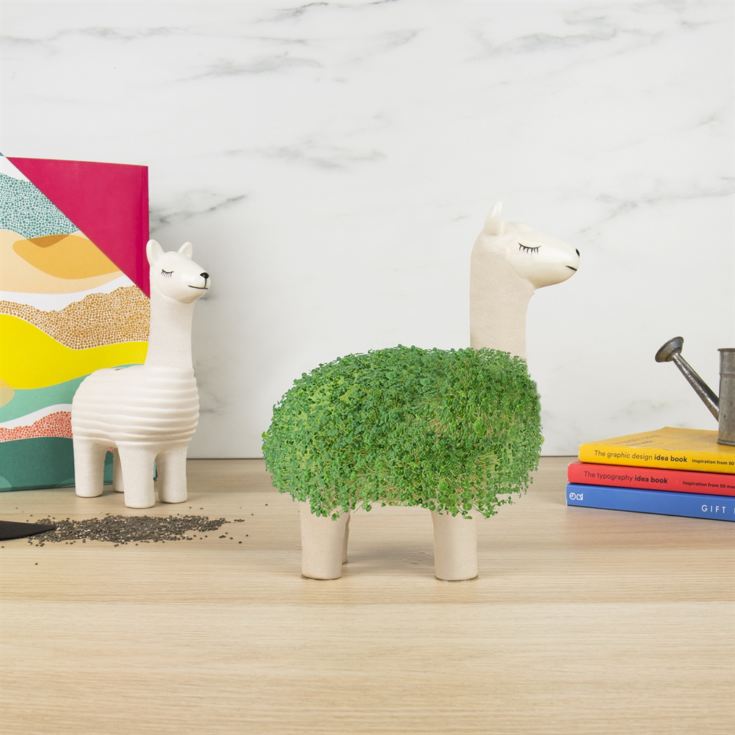 Llama Chia Planter product image