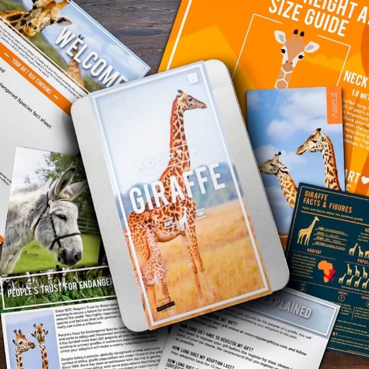 Adopt a Giraffe Gift Pack product image