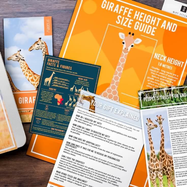 Adopt a Giraffe Gift Pack product image