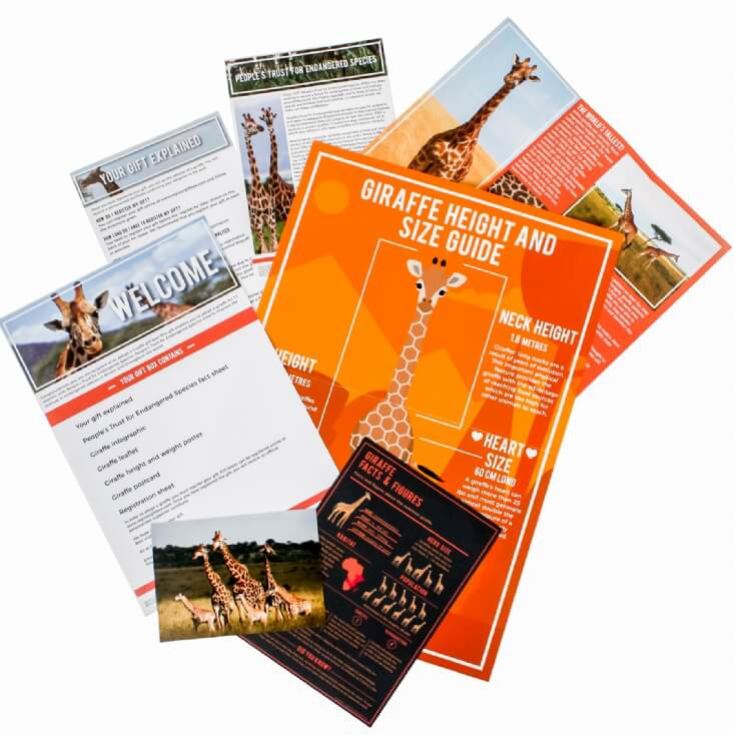 Adopt a Giraffe Gift Pack product image