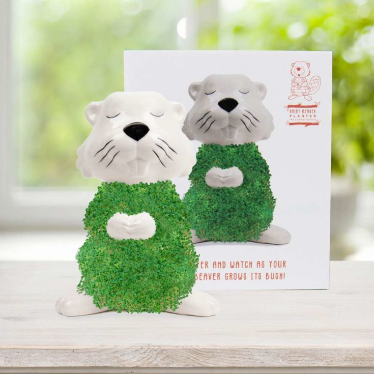 Beaver Planter product image