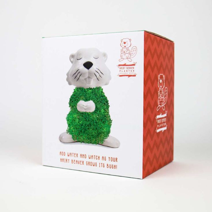 Beaver Planter product image