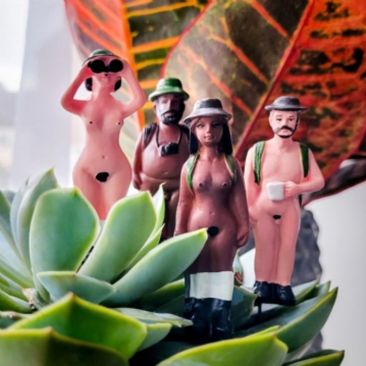 Mini Plant Pot Naked Ramblers product image