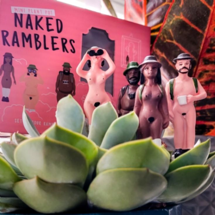 Mini Plant Pot Naked Ramblers product image
