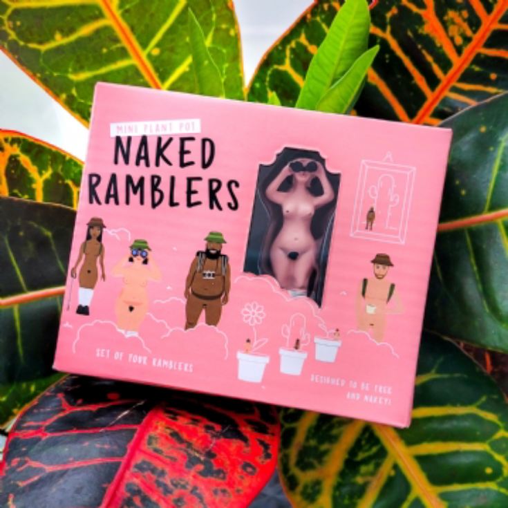 Mini Plant Pot Naked Ramblers product image