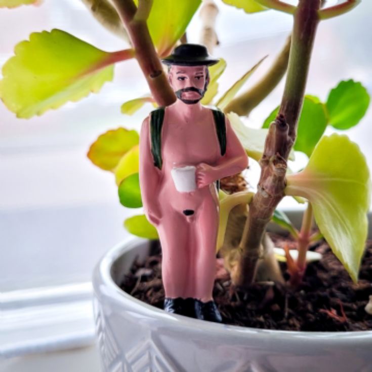 Mini Plant Pot Naked Ramblers product image