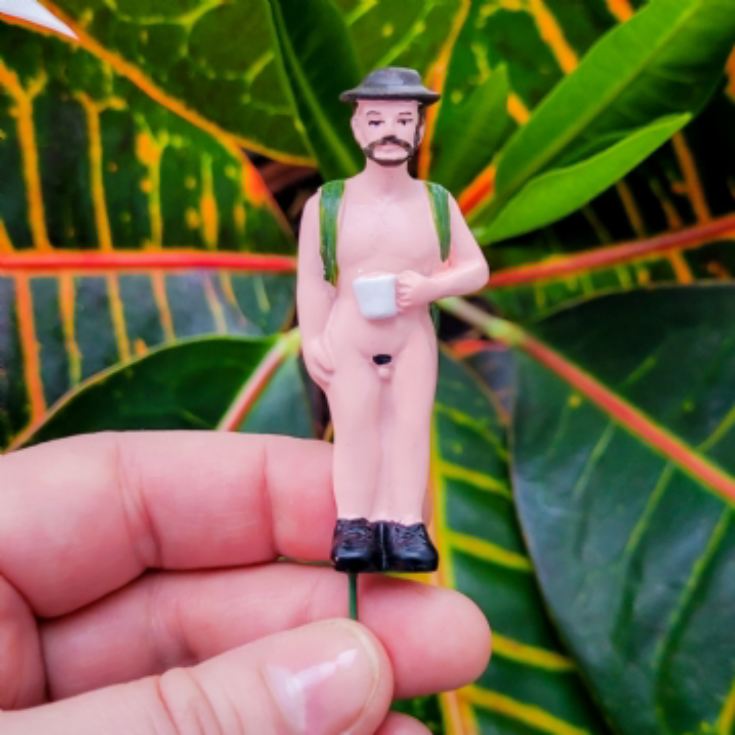 Mini Plant Pot Naked Ramblers product image