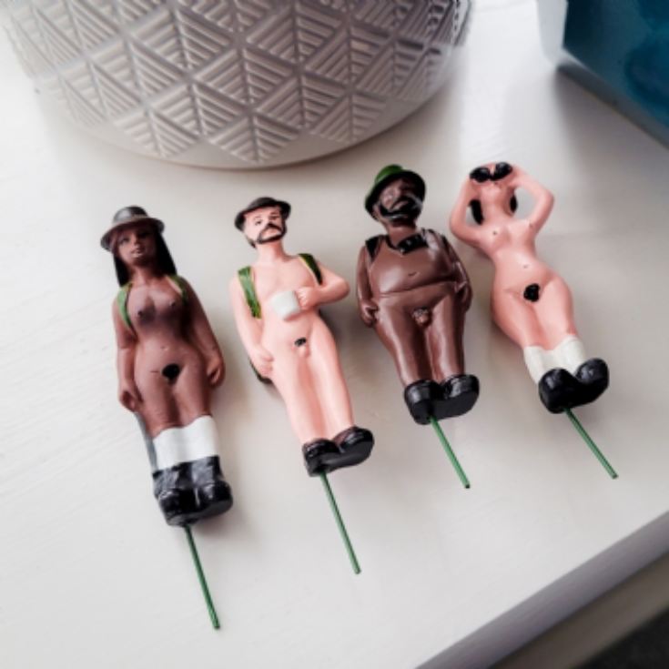 Mini Plant Pot Naked Ramblers product image