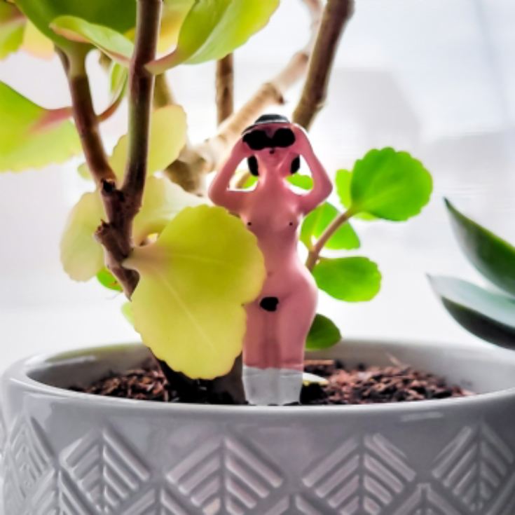 Mini Plant Pot Naked Ramblers product image