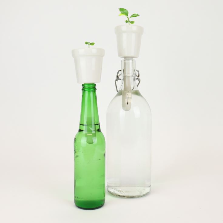 Botanical Bottle Top Growing Kits (Coffee) product image