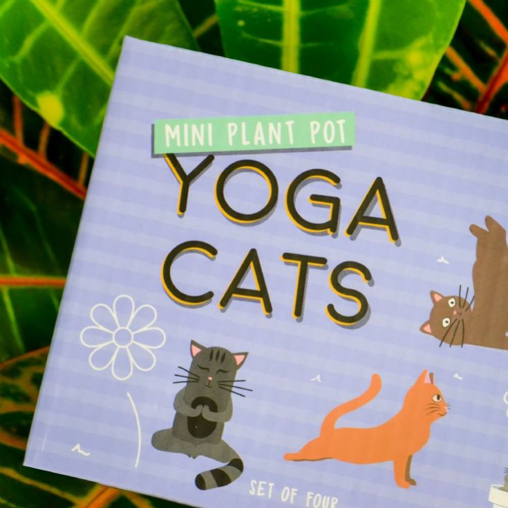 Pack of 4 Mini Plant Pot Yoga Cats product image