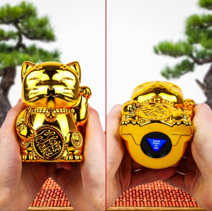 Fortune Kitty - Fortune Telling Lucky Cat product image