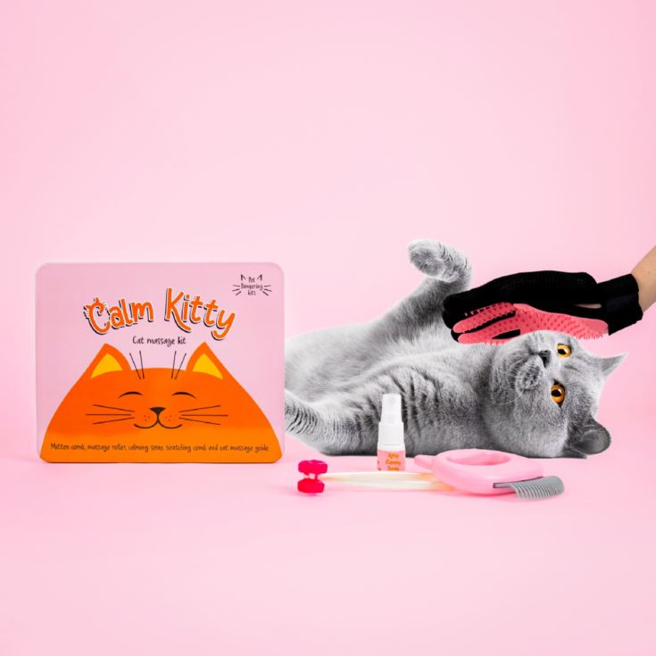 Calm Kitty Cat Massage Kit product image