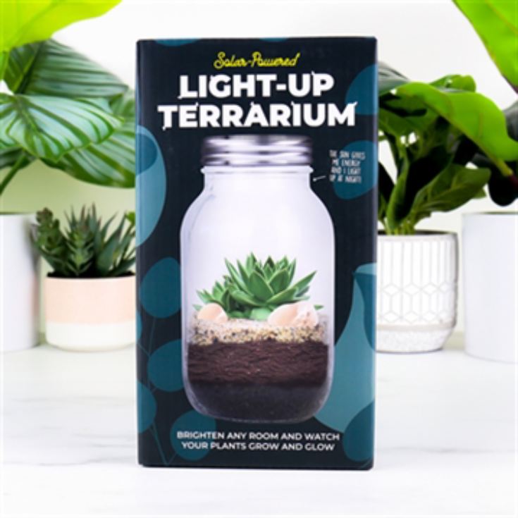 Solar Powered Light Up Terrarium product image