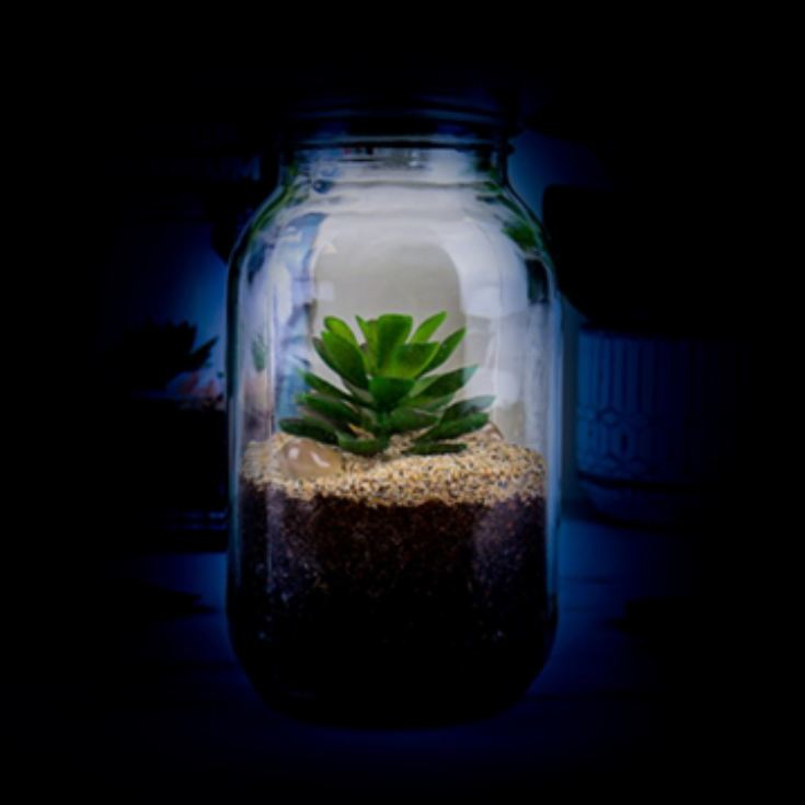 Solar Powered Light Up Terrarium product image