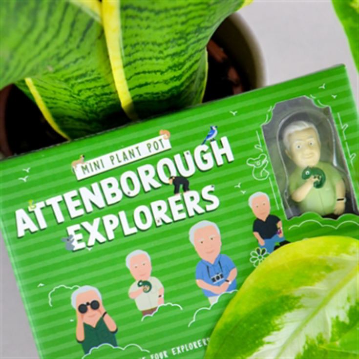Attenborough Explorer Plant Markers product image