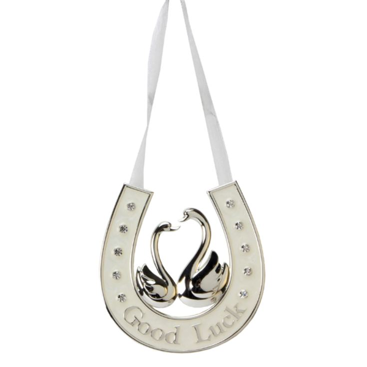 Good Luck Horse Shoe product image