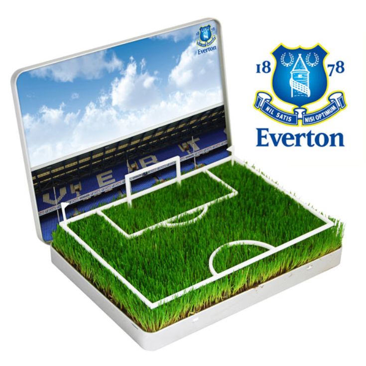 Grow Your Own Mini Football Pitch product image