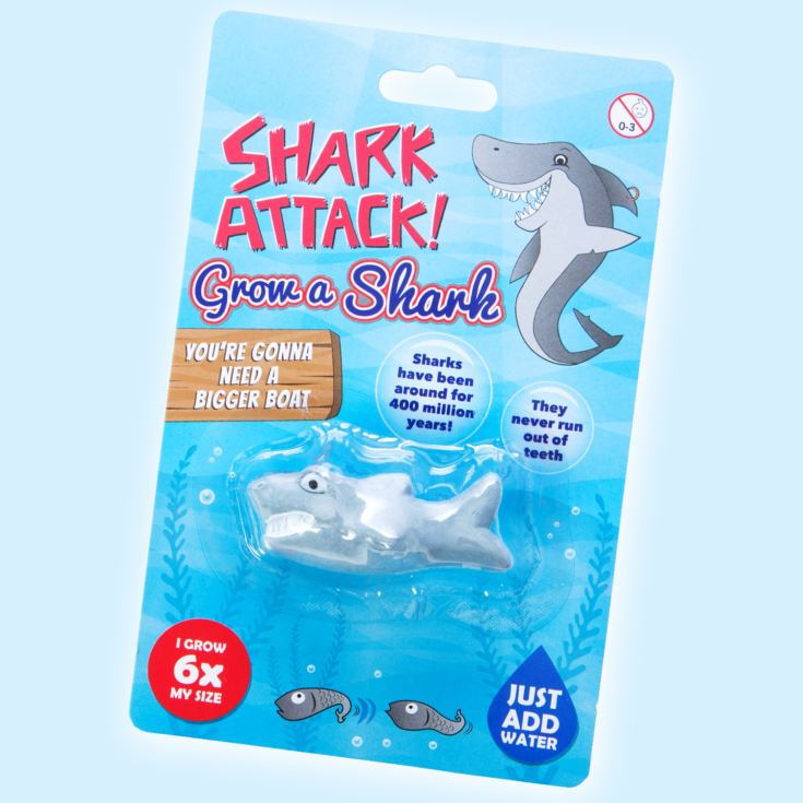 Grow A Shark The Gift Experience