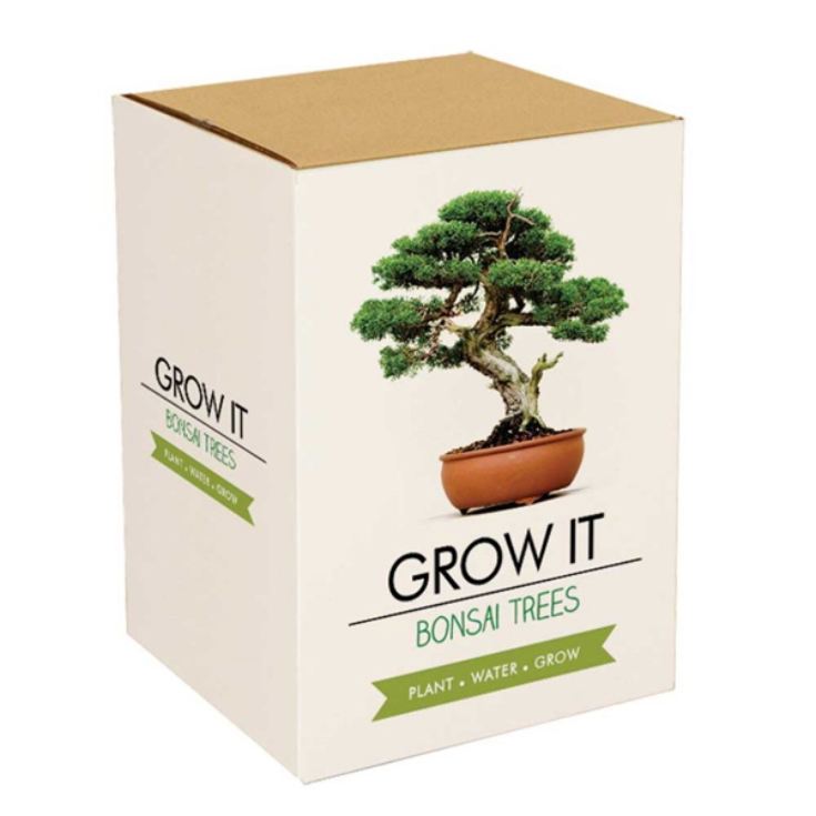 Grow it - Bonsai Tree product image