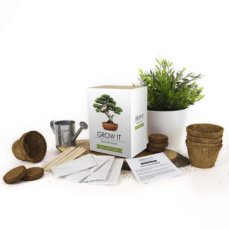 Grow it - Bonsai Tree product image