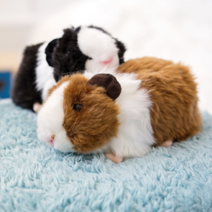 cuddly toy guinea pig