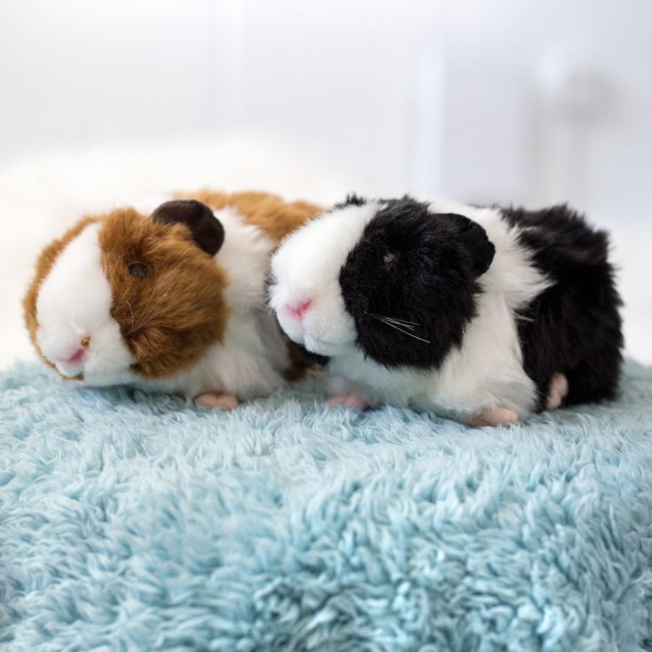 Squeaking Guinea Pig product image