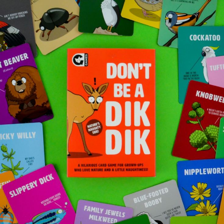 Don't Be a Dik Dik Card Game product image