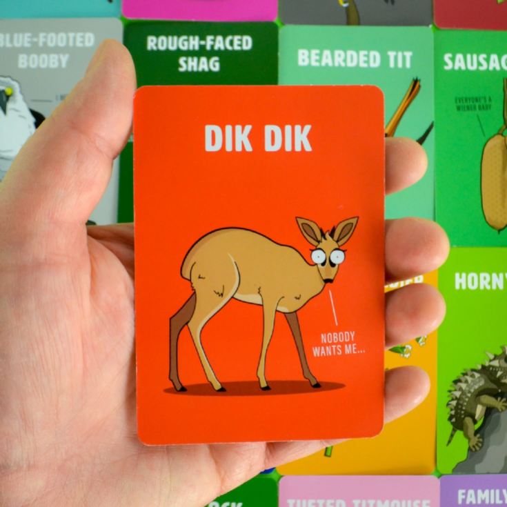 Don't Be a Dik Dik Card Game product image