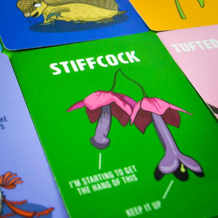 Don't Be a Dik Dik Card Game product image