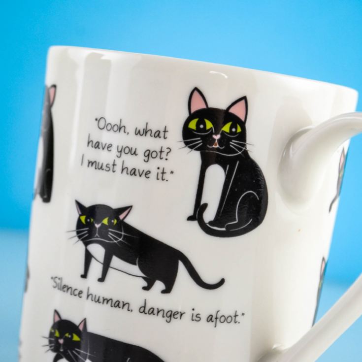 Cattitude Mug product image