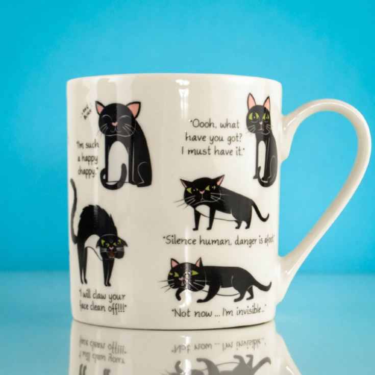 Cattitude Mug product image