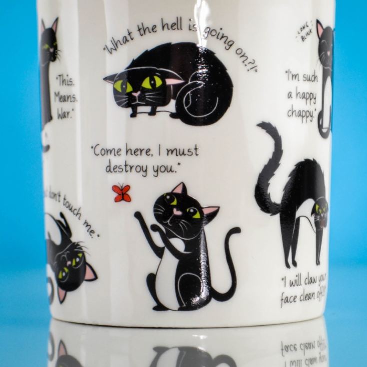 Cattitude Mug product image