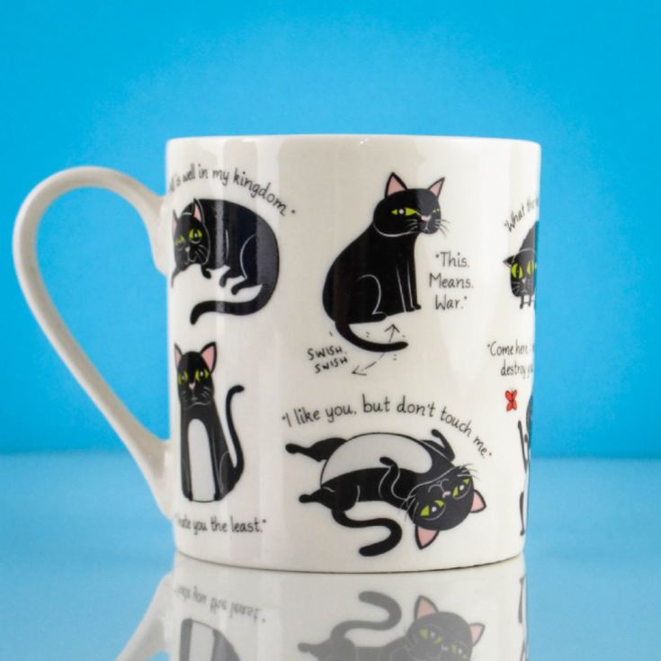 Cattitude Mug product image
