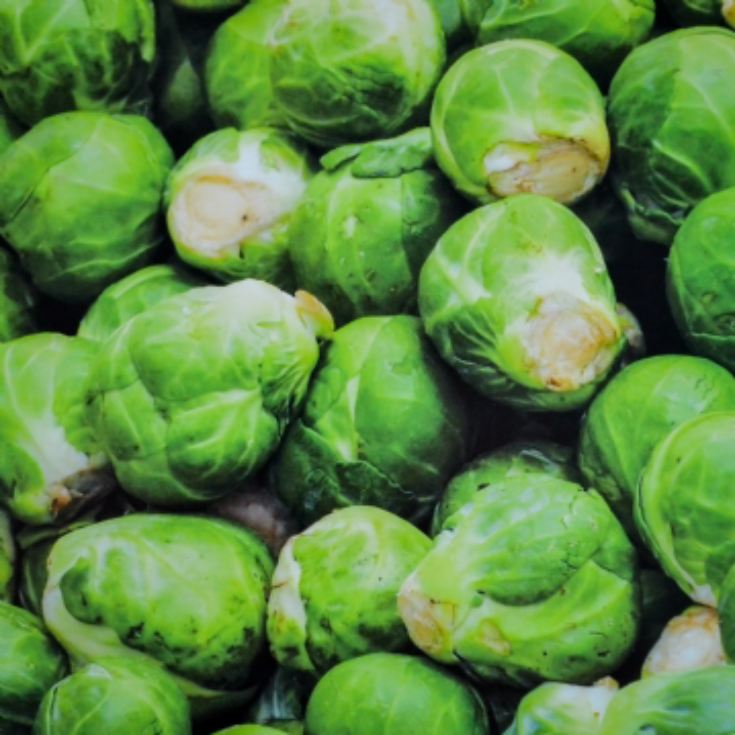 Cartamundi Brussel Sprouts Jigsaw Puzzle product image