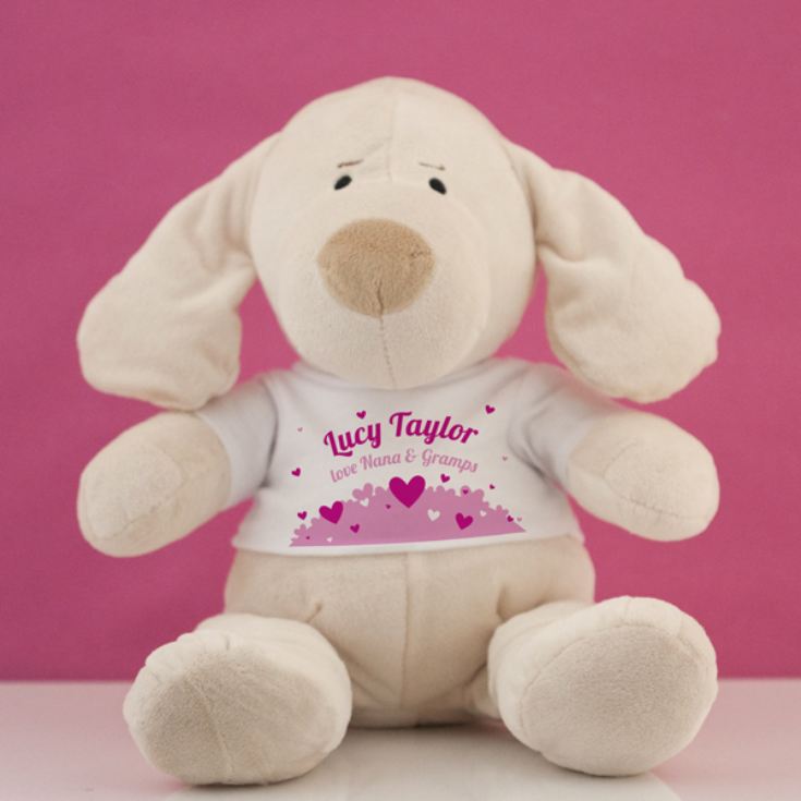 Personalised My First Puppy Soft Toy Baby Girl The Gift Experience