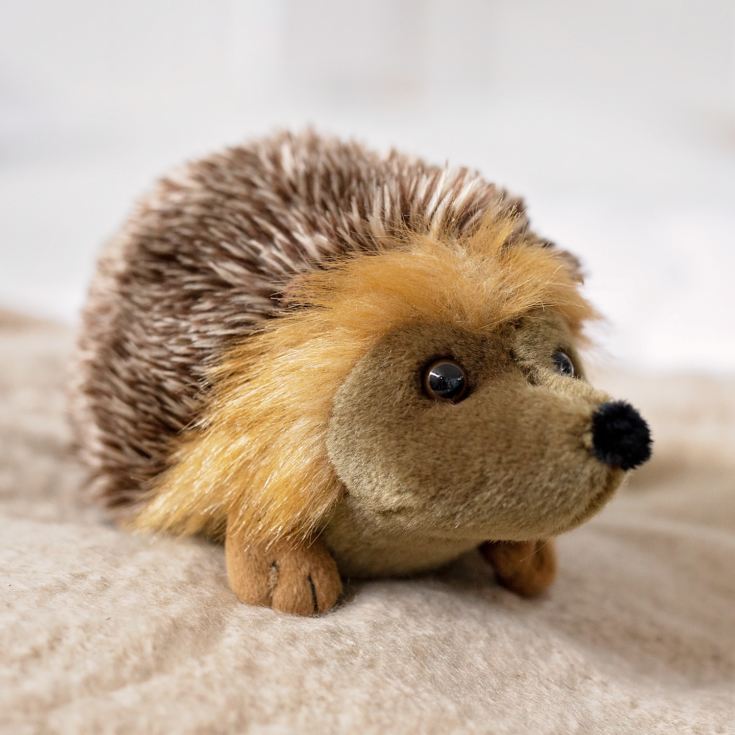 Living Nature Hedgehog Soft Toy product image