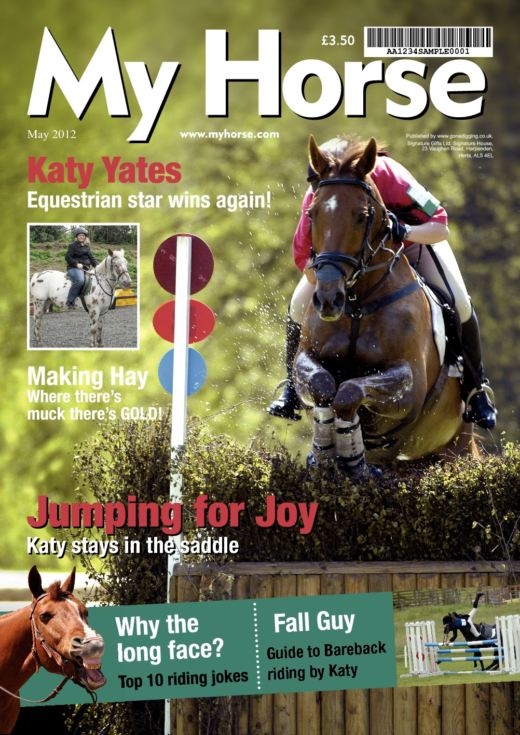 Horse Magazine Spoof product image