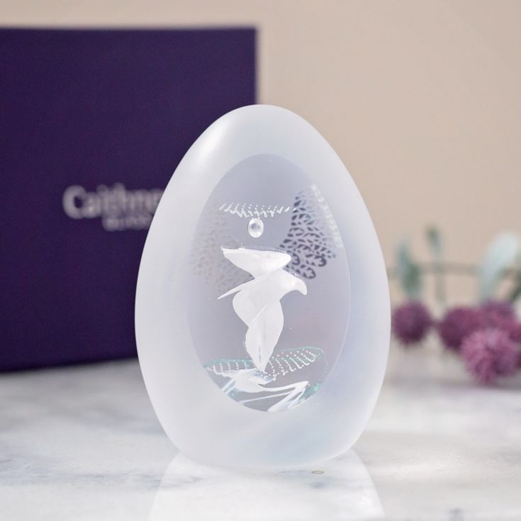 Faith Guardian Angel Caithness Paperweight - Limited Edition product image
