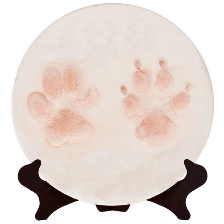 Paw Casting Kit The Gift Experience