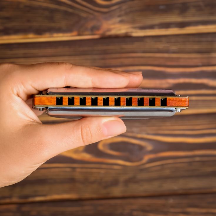 Harmonica Masterclass for Two product image