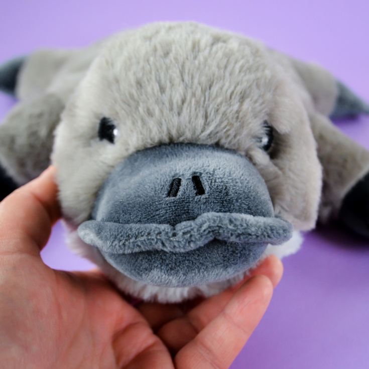 Warmies Platypus Microwaveable Plush product image