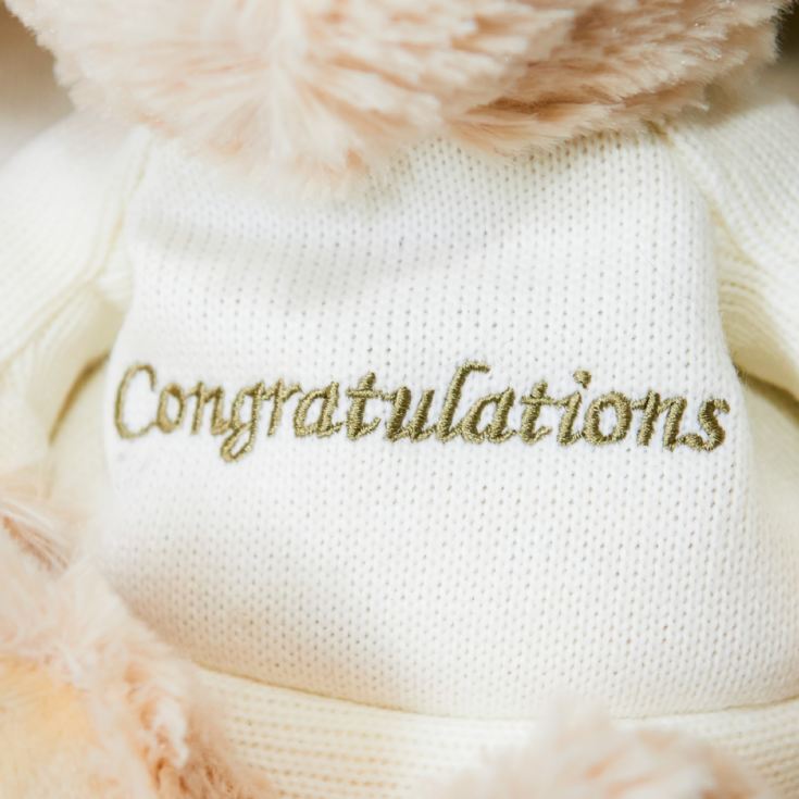 Warmies 9''  Congratulations Microwaveable Plush Bear product image