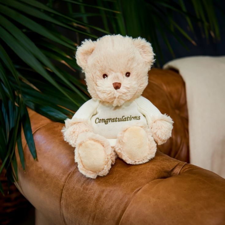 Warmies 9''  Congratulations Microwaveable Plush Bear product image