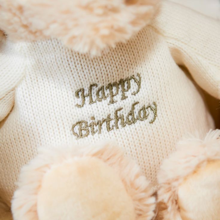 Warmies 9''  Happy Birthday Microwaveable Plush Bear product image