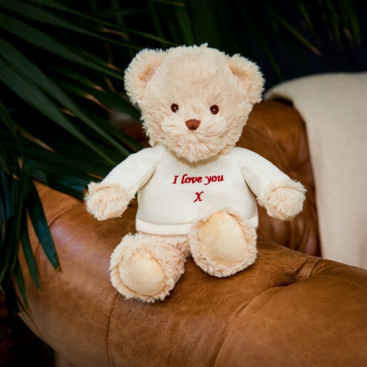 Warmies 9''  I Love You Microwaveable Plush Bear product image