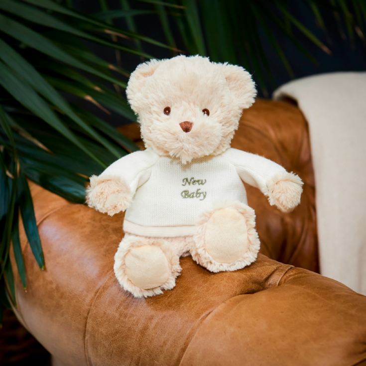 Warmies 9''  New Baby Microwaveable Plush Bear product image